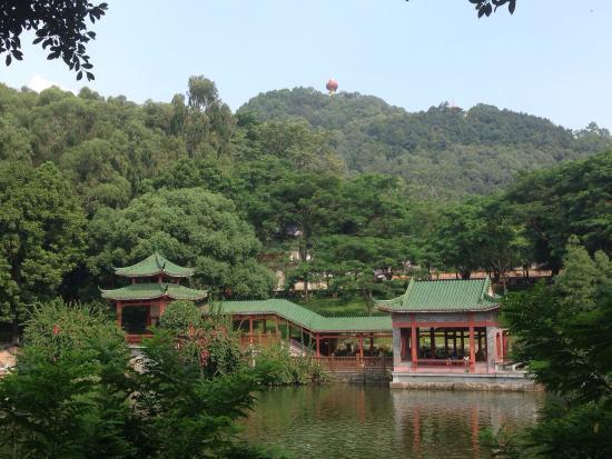 Qifeng Park